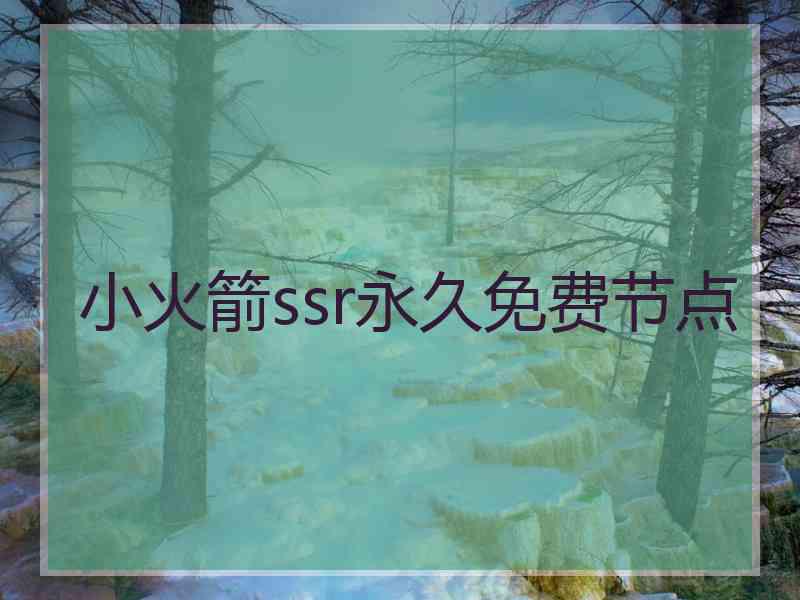 小火箭ssr永久免费节点