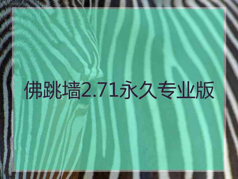 佛跳墙2.71永久专业版