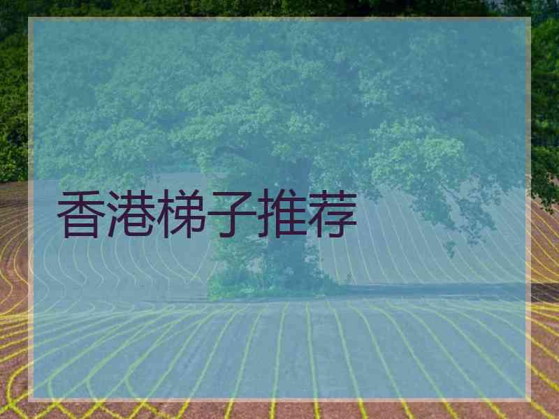 香港梯子推荐