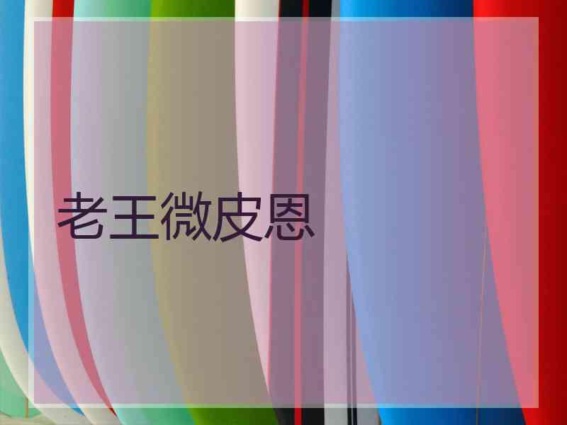 老王微皮恩
