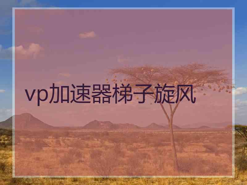 vp加速器梯子旋风