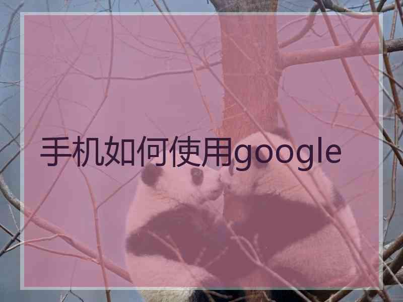 手机如何使用google