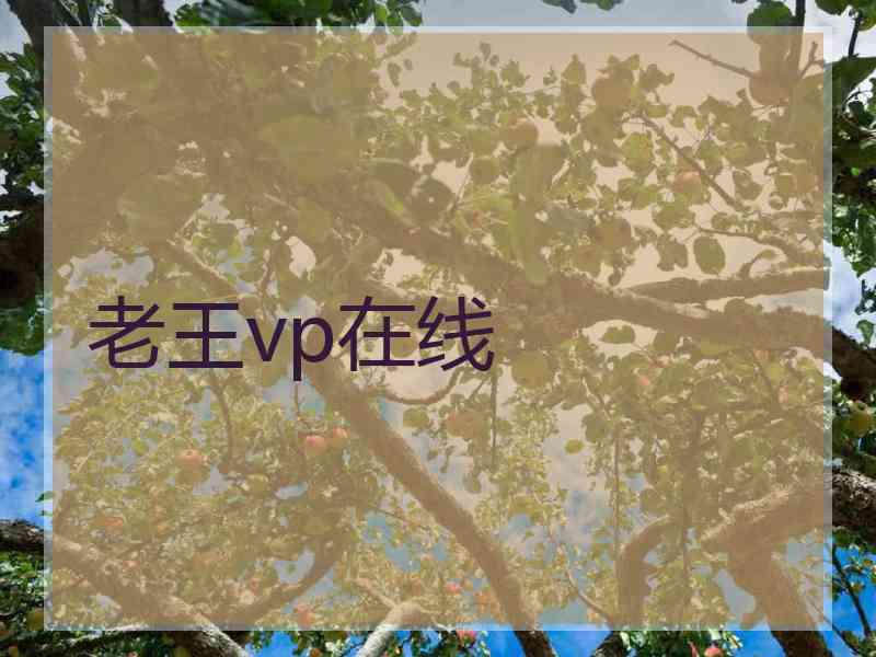 老王vp在线
