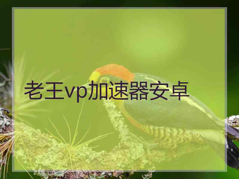 老王vp加速器安卓
