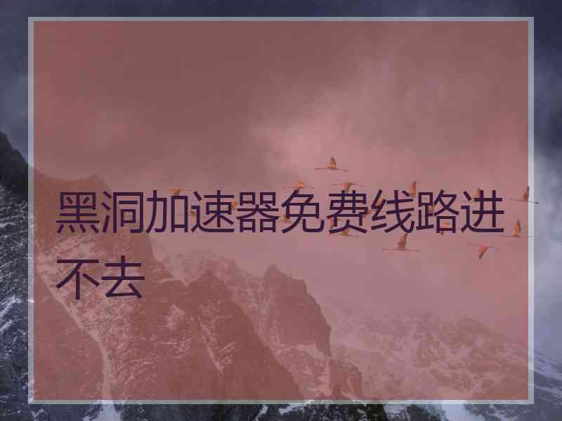 黑洞加速器免费线路进不去