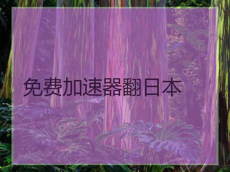 免费加速器翻日本