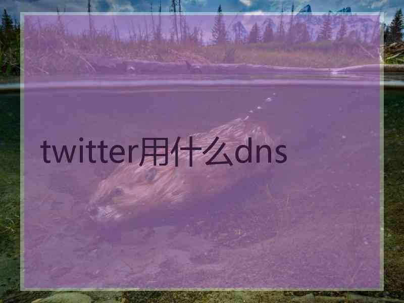twitter用什么dns