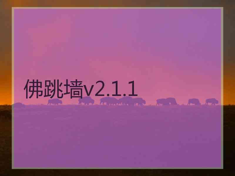 佛跳墙v2.1.1