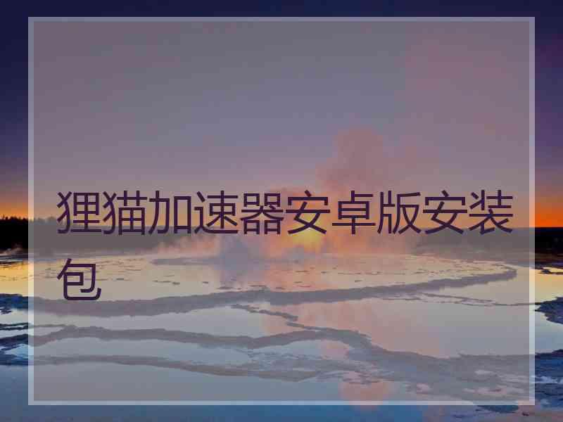 狸猫加速器安卓版安装包