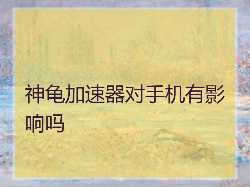 神龟加速器对手机有影响吗