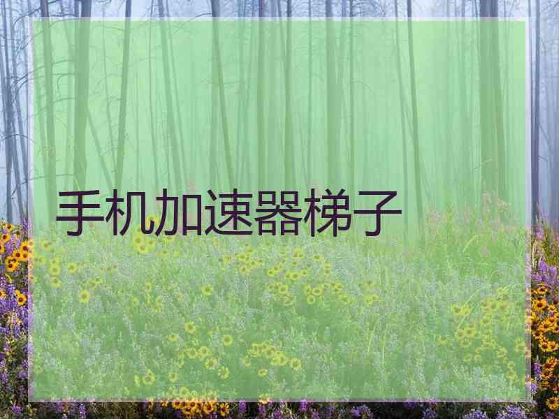 手机加速器梯子