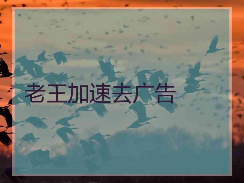 老王加速去广告