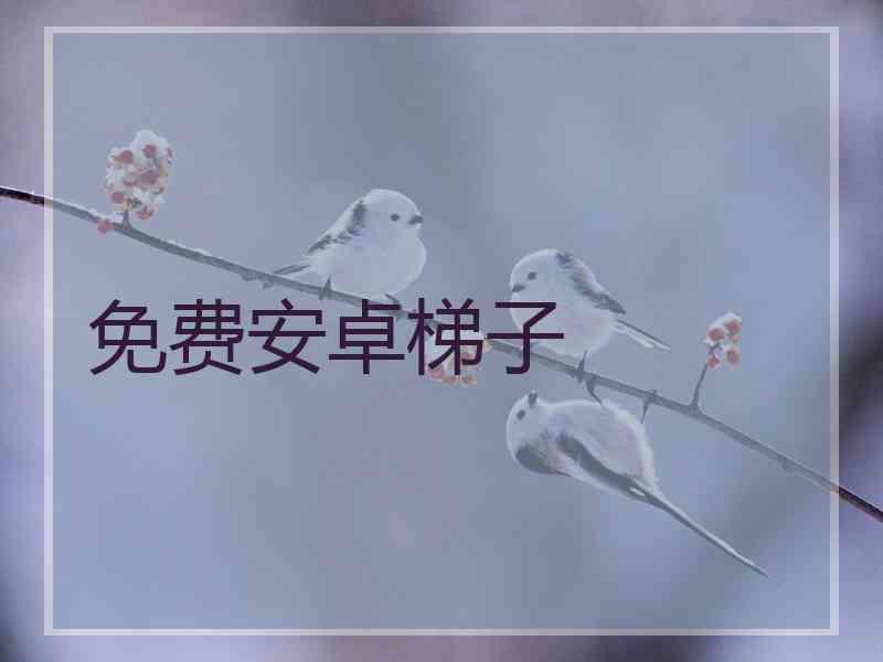 免费安卓梯子