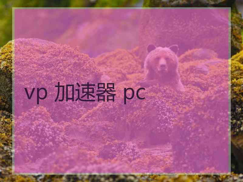 vp 加速器 pc
