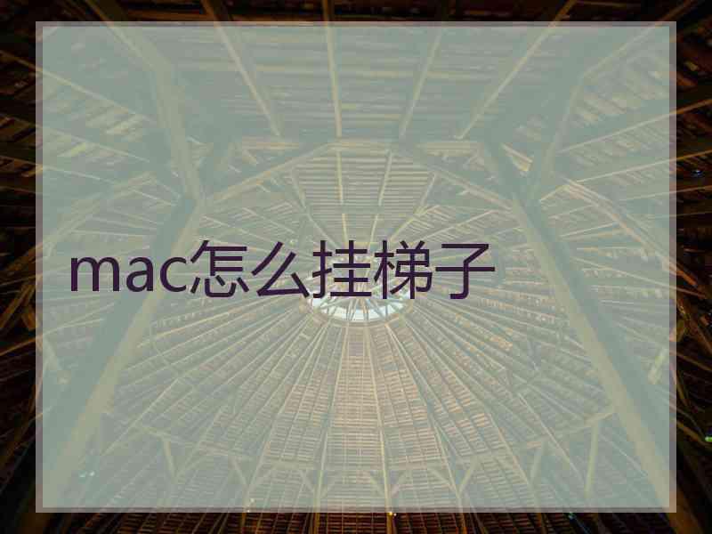 mac怎么挂梯子
