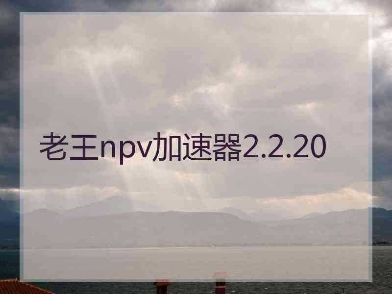 老王npv加速器2.2.20