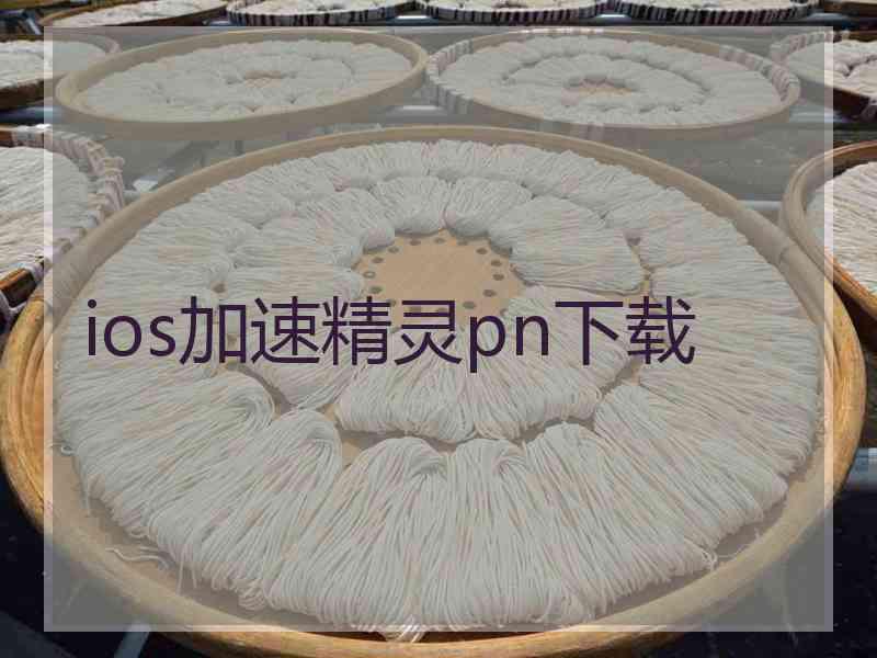 ios加速精灵pn下载