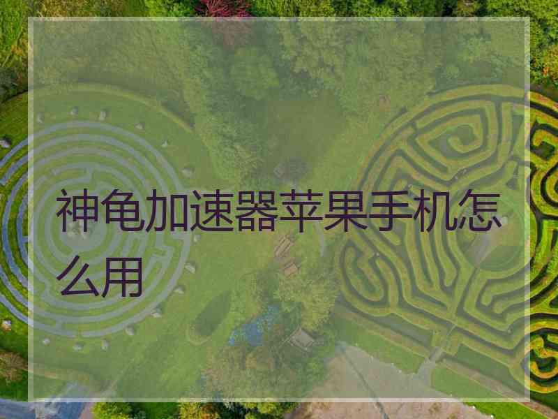 神龟加速器苹果手机怎么用
