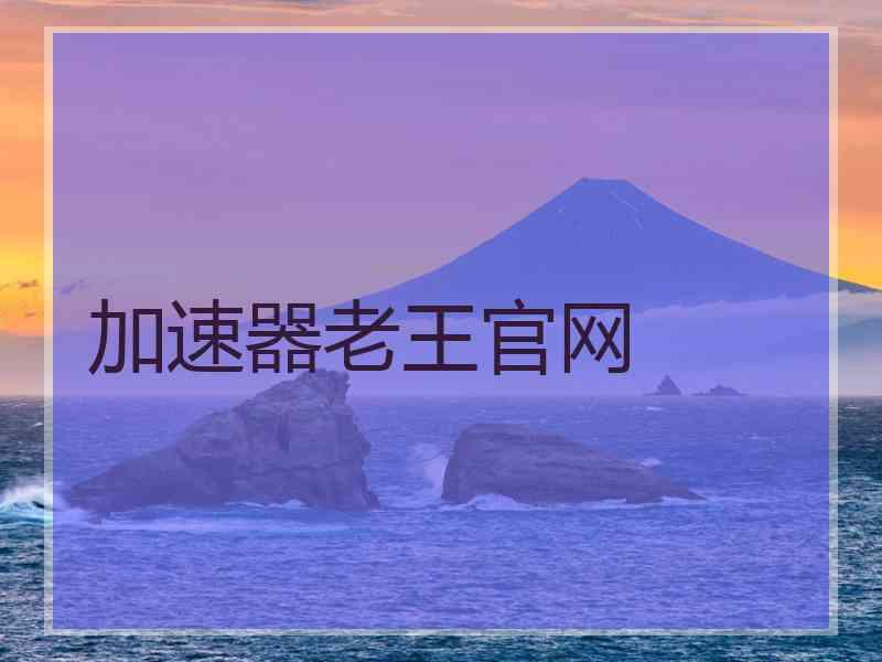 加速器老王官网