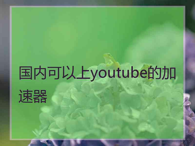 国内可以上youtube的加速器