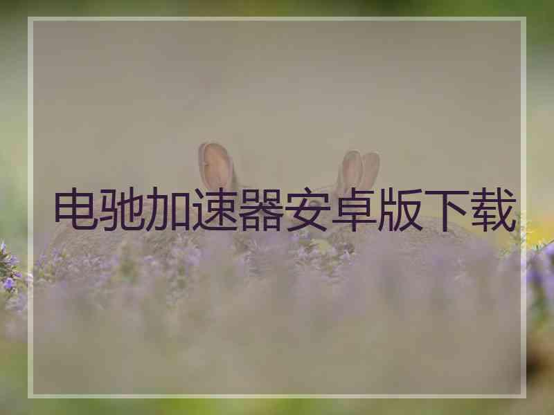 电驰加速器安卓版下载