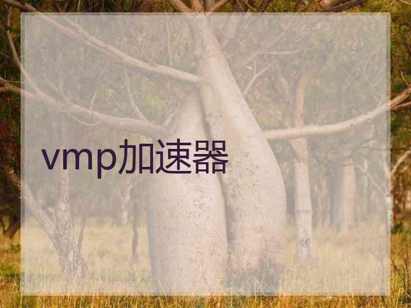 vmp加速器