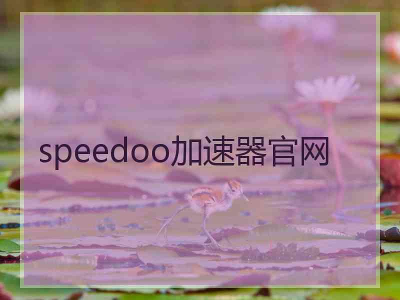 speedoo加速器官网