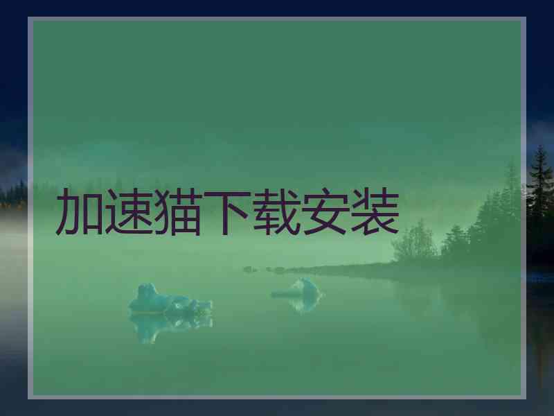 加速猫下载安装