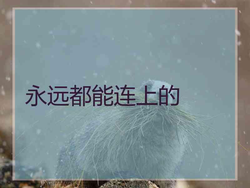 永远都能连上的