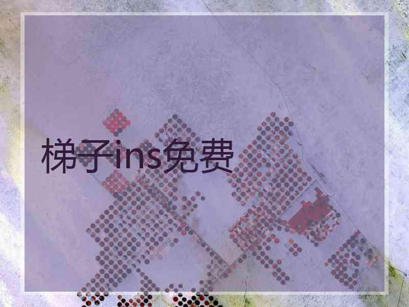 梯子ins免费