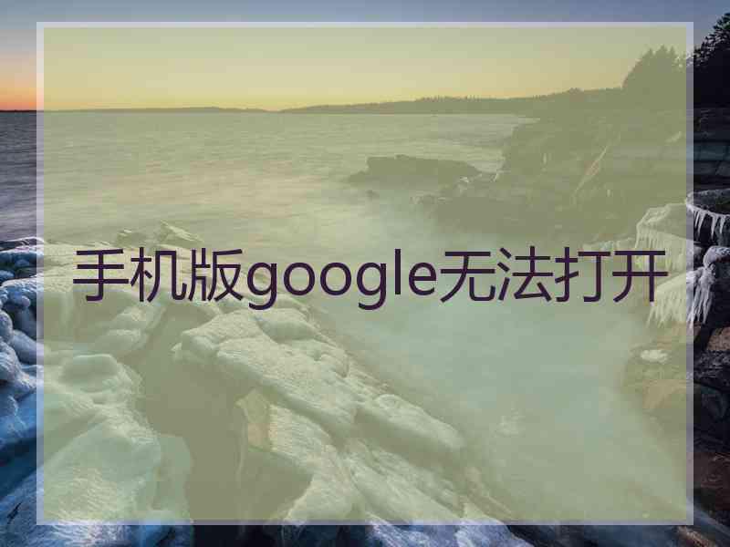 手机版google无法打开