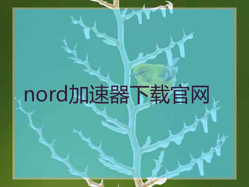 nord加速器下载官网