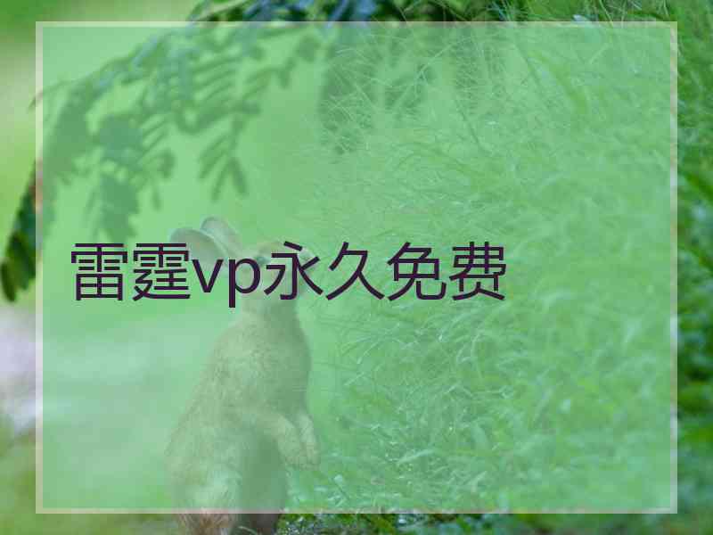 雷霆vp永久免费