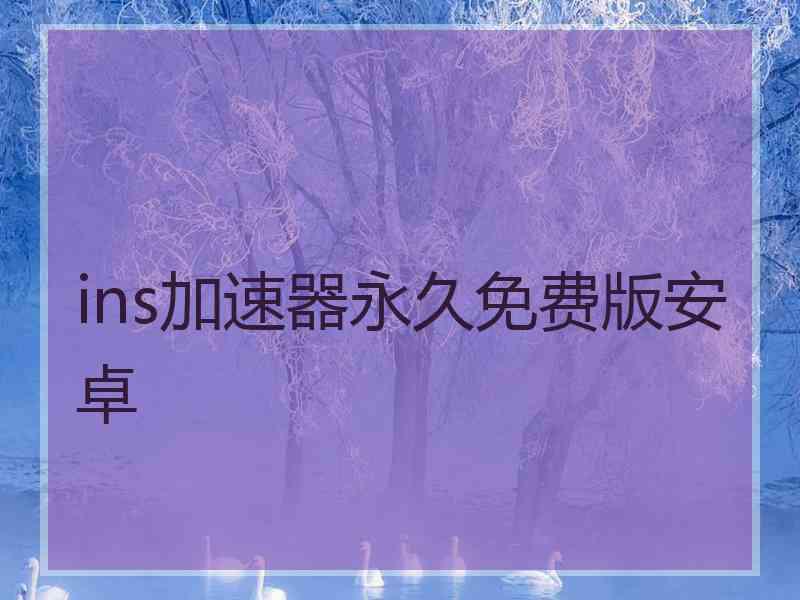 ins加速器永久免费版安卓
