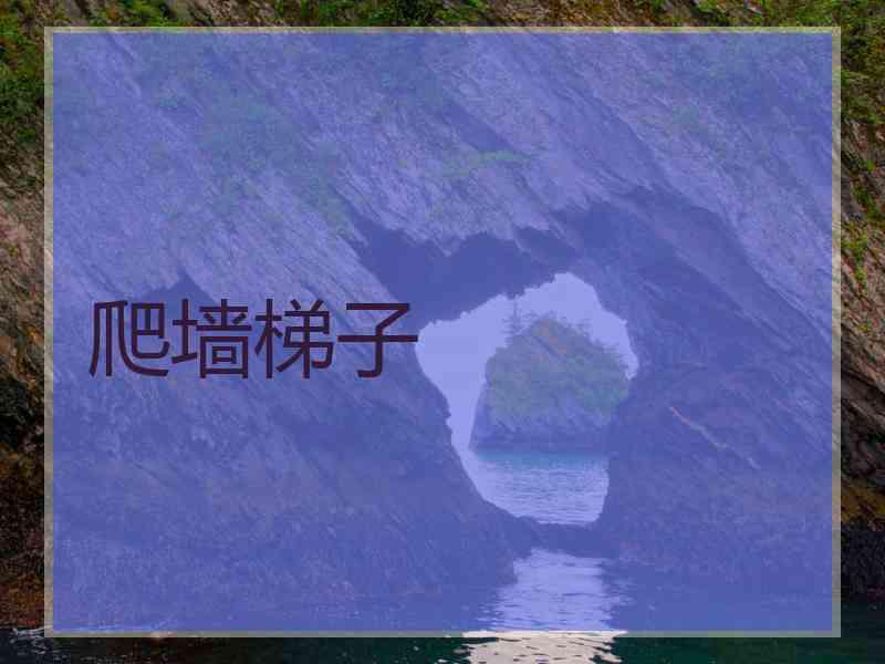 爬墙梯子