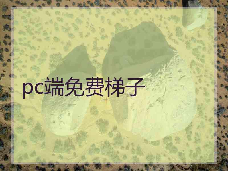 pc端免费梯子