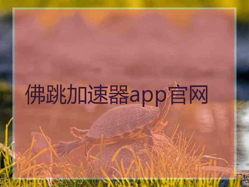 佛跳加速器app官网