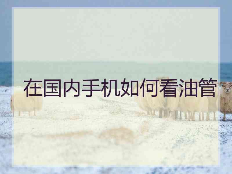 在国内手机如何看油管