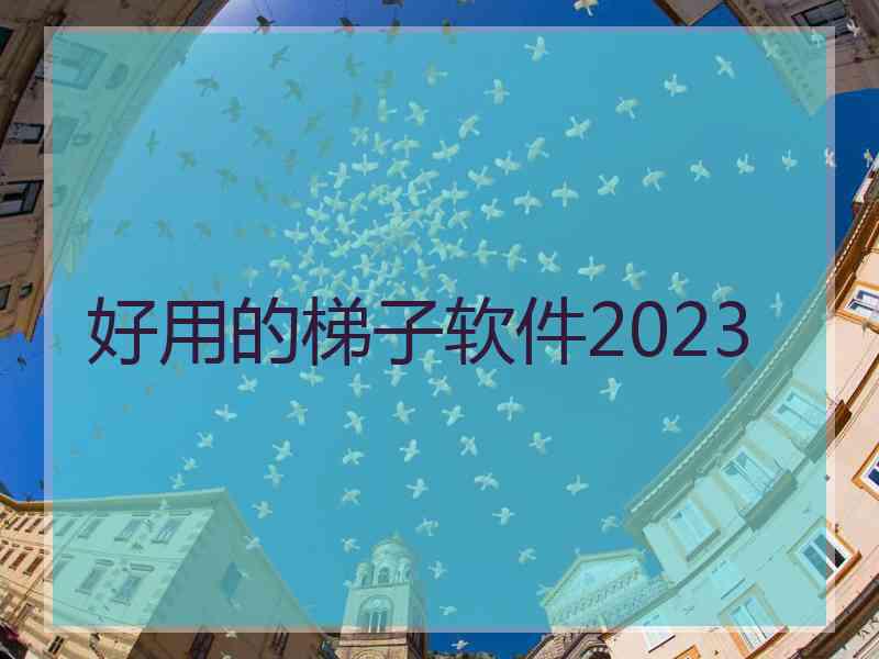 好用的梯子软件2023