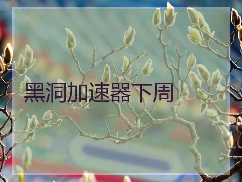 黑洞加速器下周