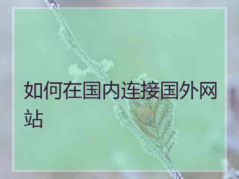 如何在国内连接国外网站