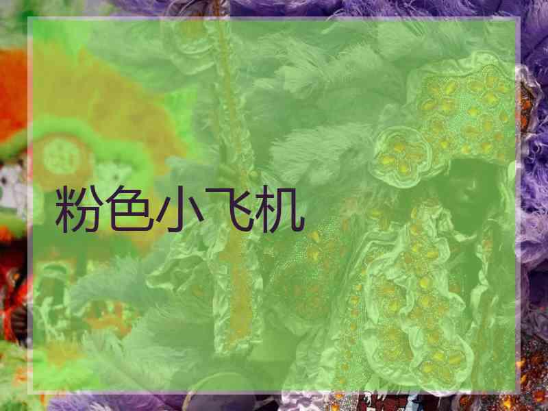 粉色小飞机