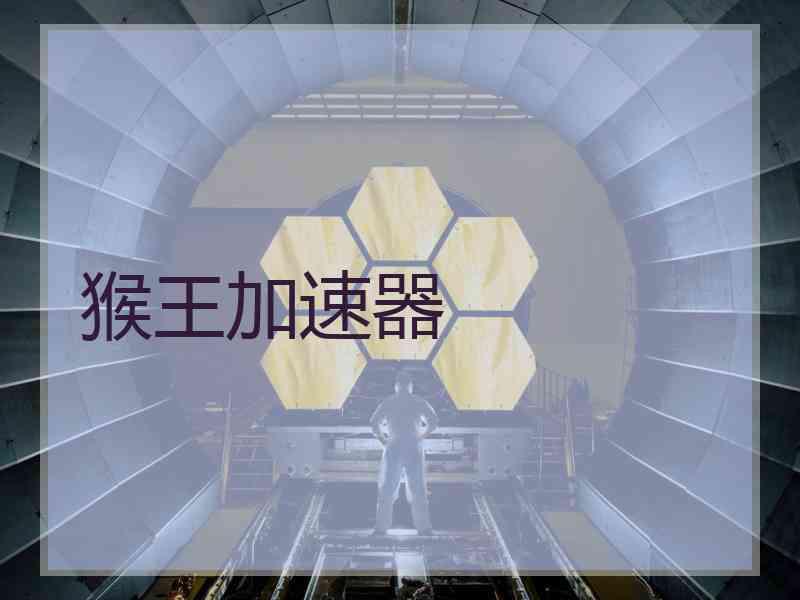 猴王加速器