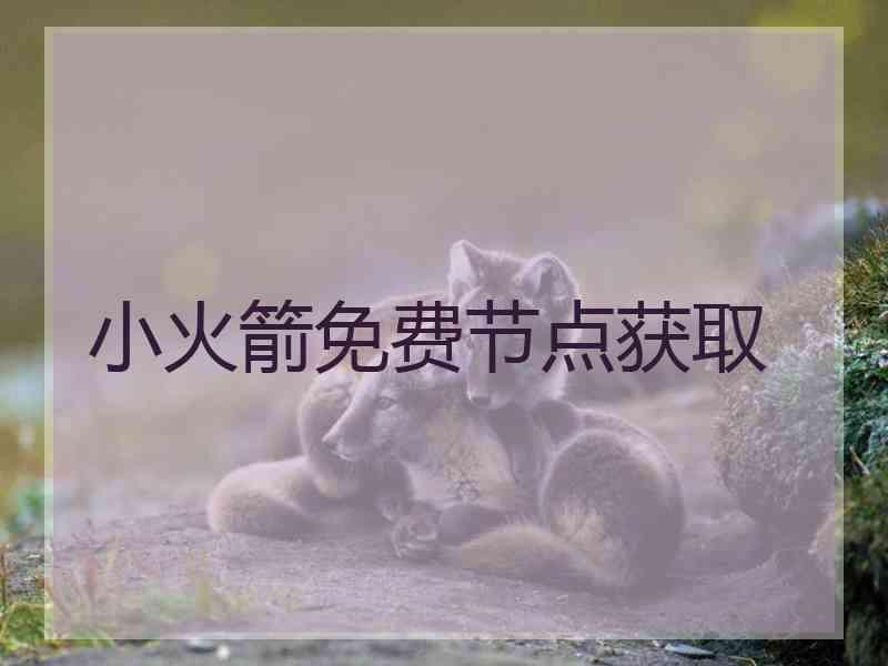 小火箭免费节点获取