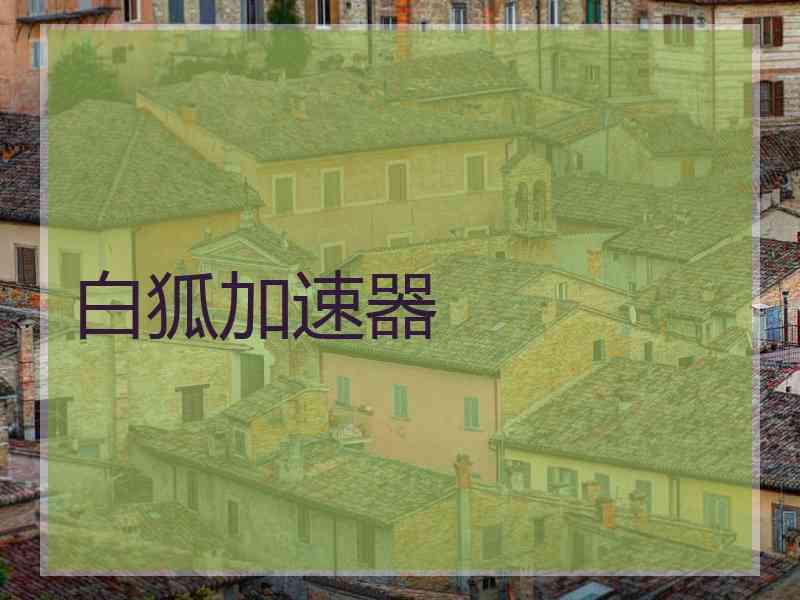 白狐加速器