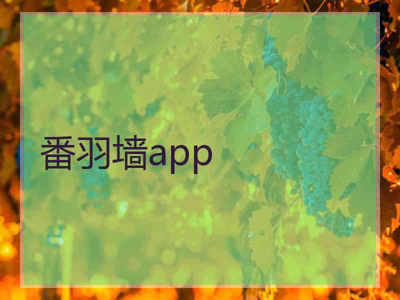 番羽墙app