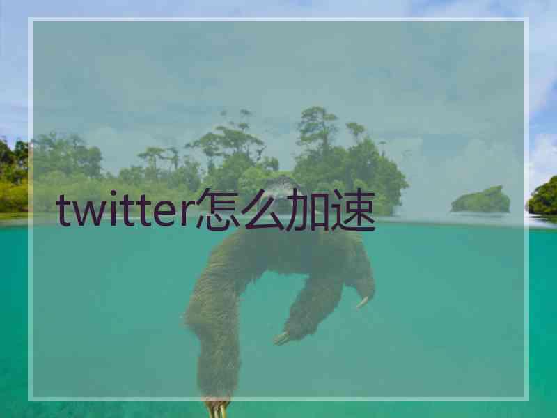 twitter怎么加速