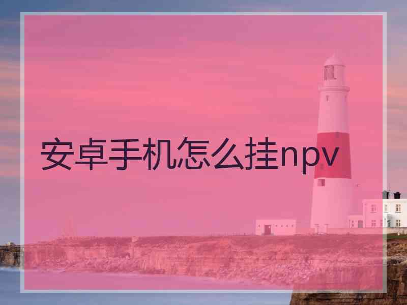 安卓手机怎么挂npv