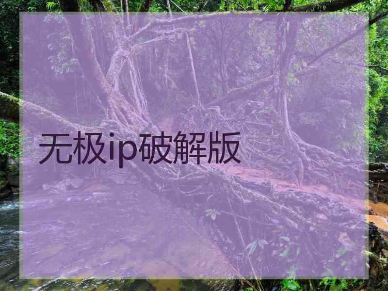 无极ip破解版