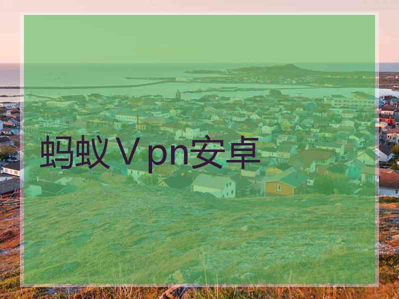 蚂蚁Ⅴpn安卓